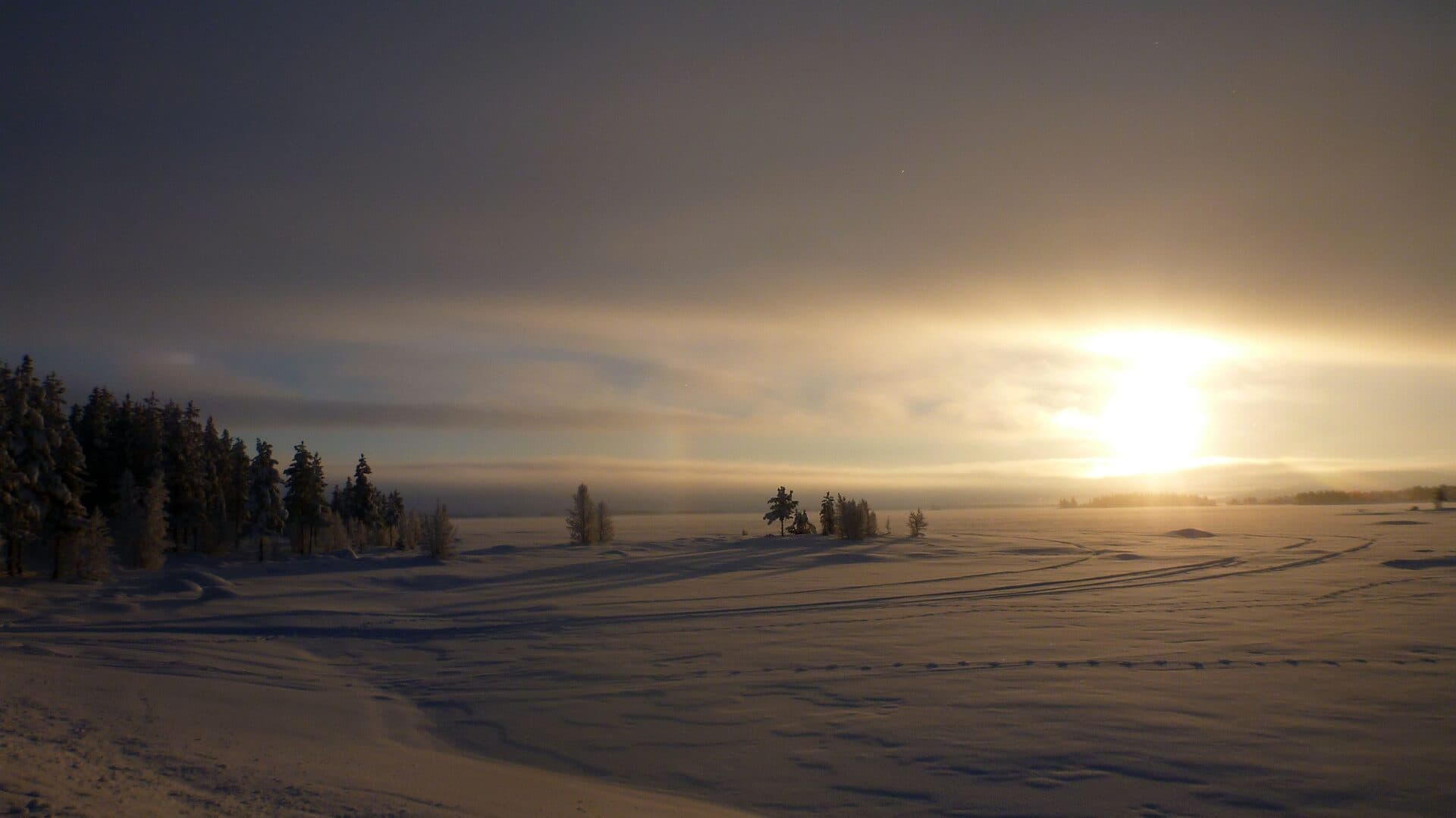 Rising Sunset