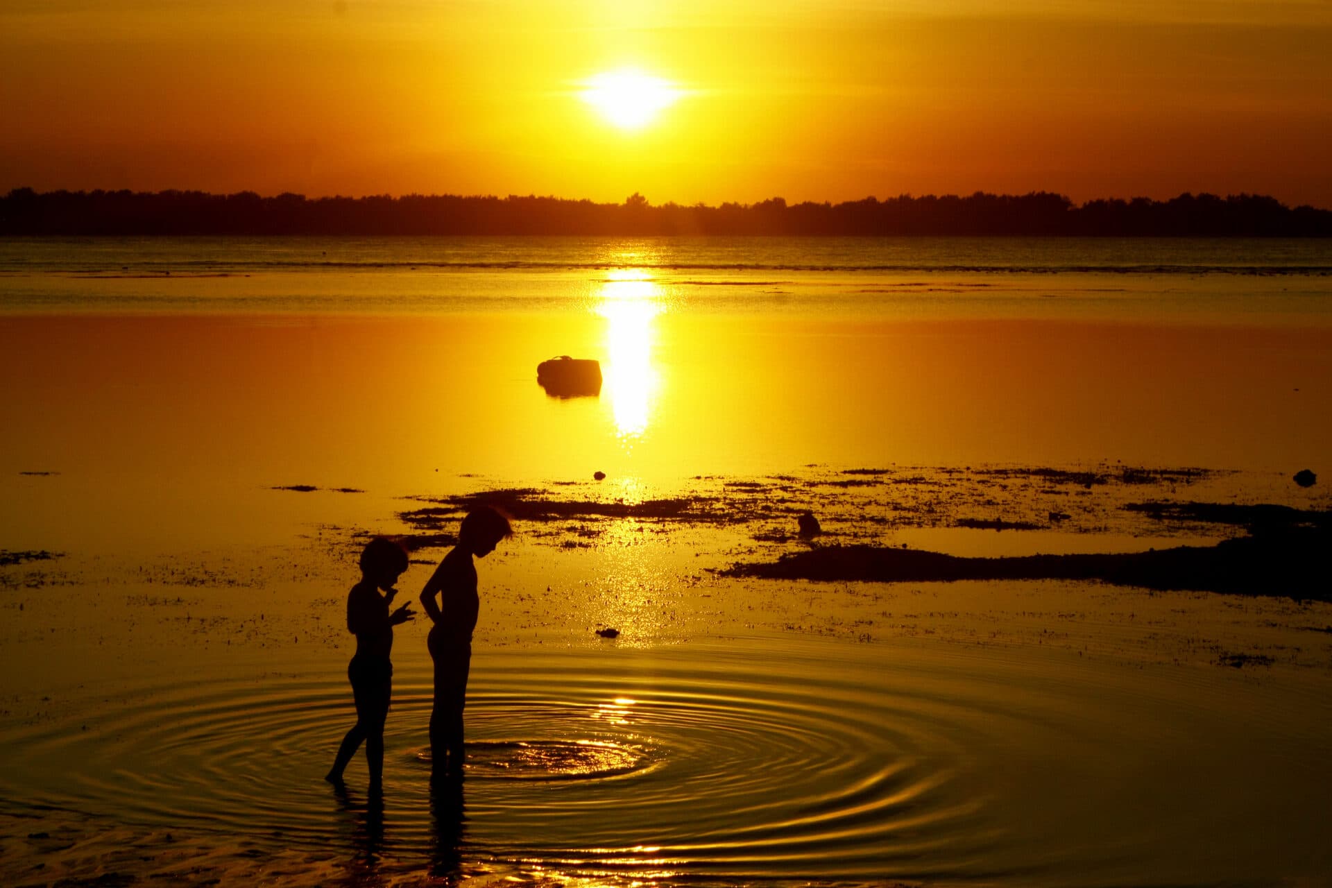 Des ronds dans l'eau